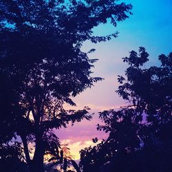 Silhouette of trees against sky at sunset