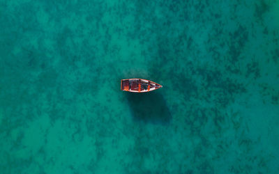 High angle view of jellyfish floating on sea