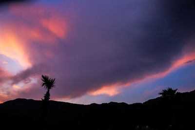 Low angle view of silhouette trees against dramatic sky