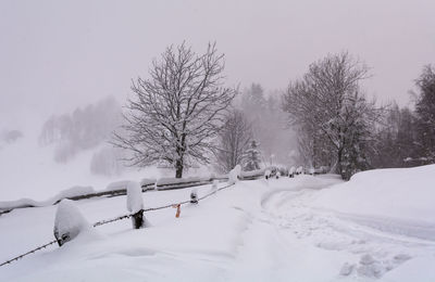 Bare trees on snow covered field against sky