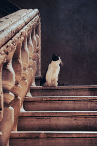 Low angle view of bird perching on railing