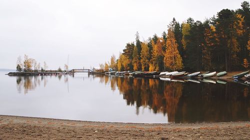 Reflection of trees in water