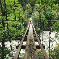 Suspended footbridge amidst trees in forest