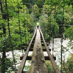 Footbridge amidst trees in forest