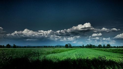 Scenic view of field against cloudy sky