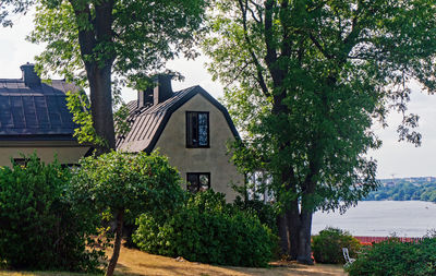 Trees and buildings against sky