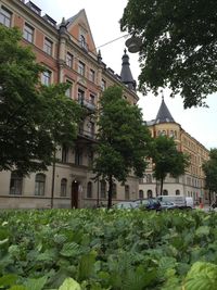 Building with trees in background