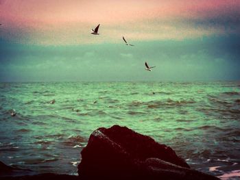 Bird flying over sea