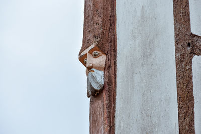 Close-up of hole on wood against clear sky