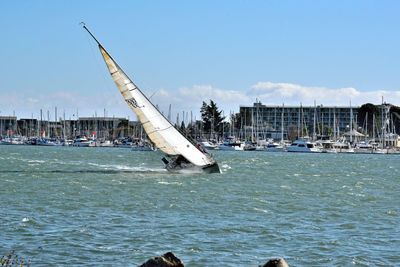 Boats moored at harbor against sky