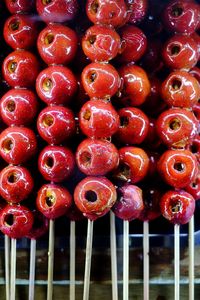 Red berries