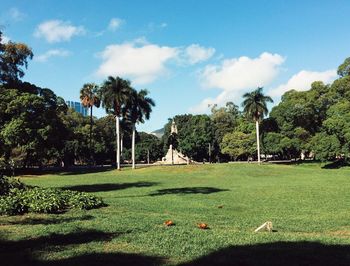 Trees growing on golf course against sky