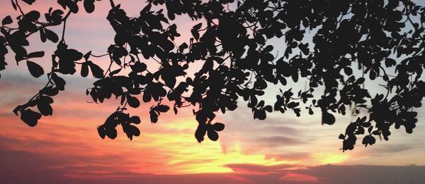 Low angle view of sky at sunset