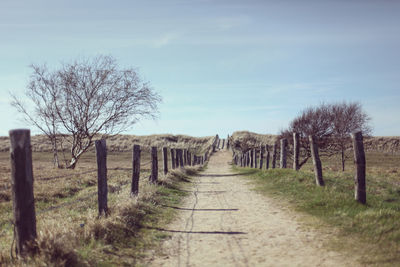 Wooden posts on field against sky