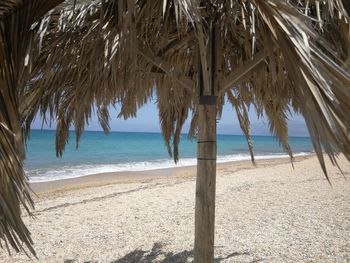 Palm trees on beach against sky