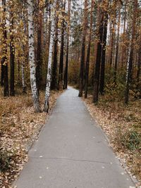 Road amidst trees in forest during autumn