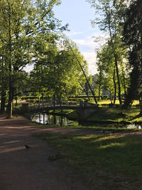 Trees in park against sky