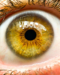 Close-up of human eye