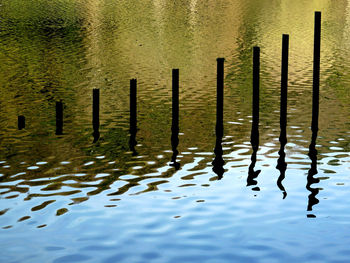 Wooden posts in the sea