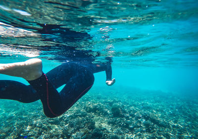 Low section of person wearing wetsuit while swimming undersea