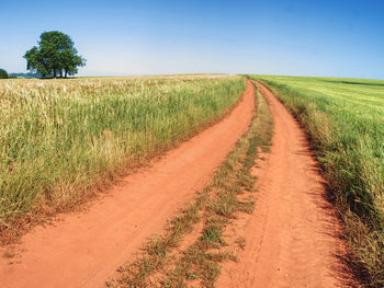 Dirt road amidst agricultural field against sky