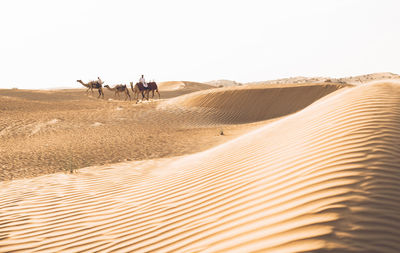 View of people riding horse in desert against clear sky
