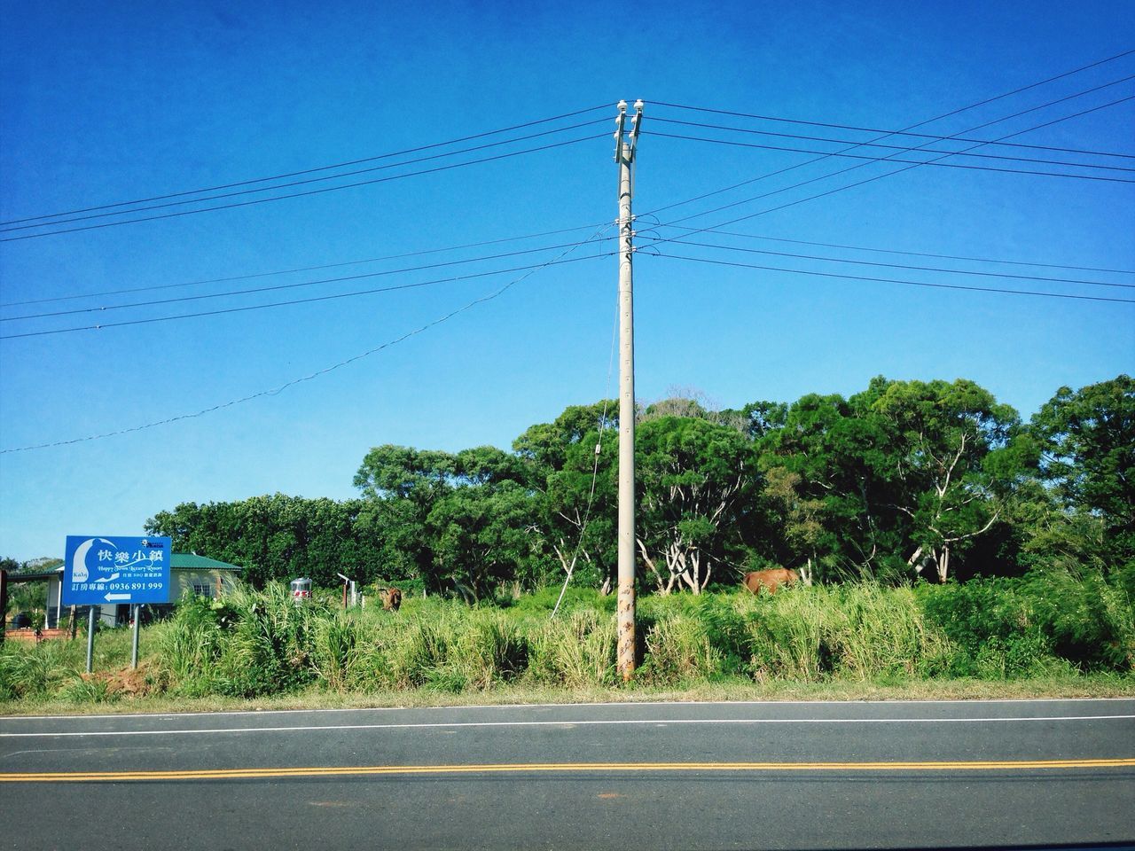 road, street light, clear sky, blue, transportation, street, tree, road marking, the way forward, sky, power line, pole, road sign, outdoors, electricity pylon, day, no people, empty, roadside, asphalt