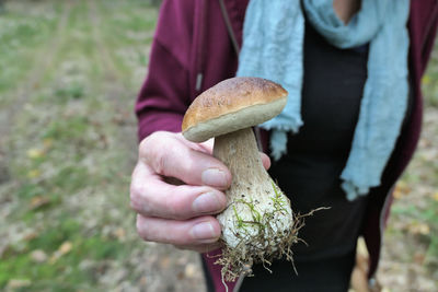 Close-up of hand holding mushroom