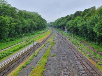 Empty railroad track amidst trees against sky