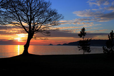 Silhouette trees on beach against sky at sunset