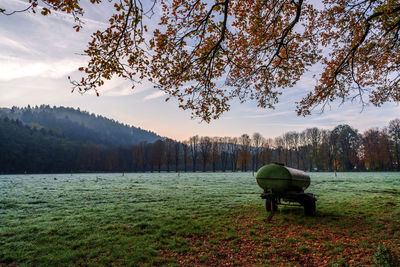 Scenic view of trees on field against sky