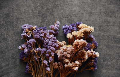 High angle view of purple flowering plant
