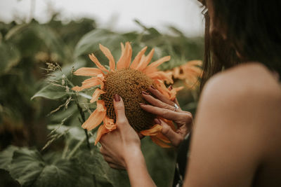 Midsection of woman holding sunflower on field