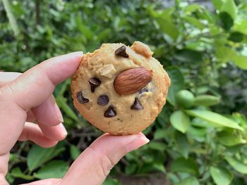 Close-up of hand holding cookies 