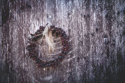 Fruit wreath hanging on wooden wall