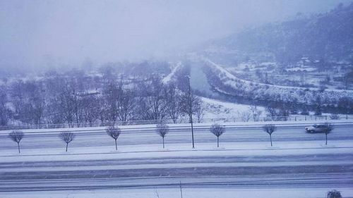 Scenic view of snow covered land and trees