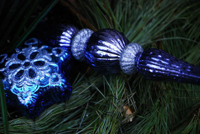 Close-up of christmas tree at night