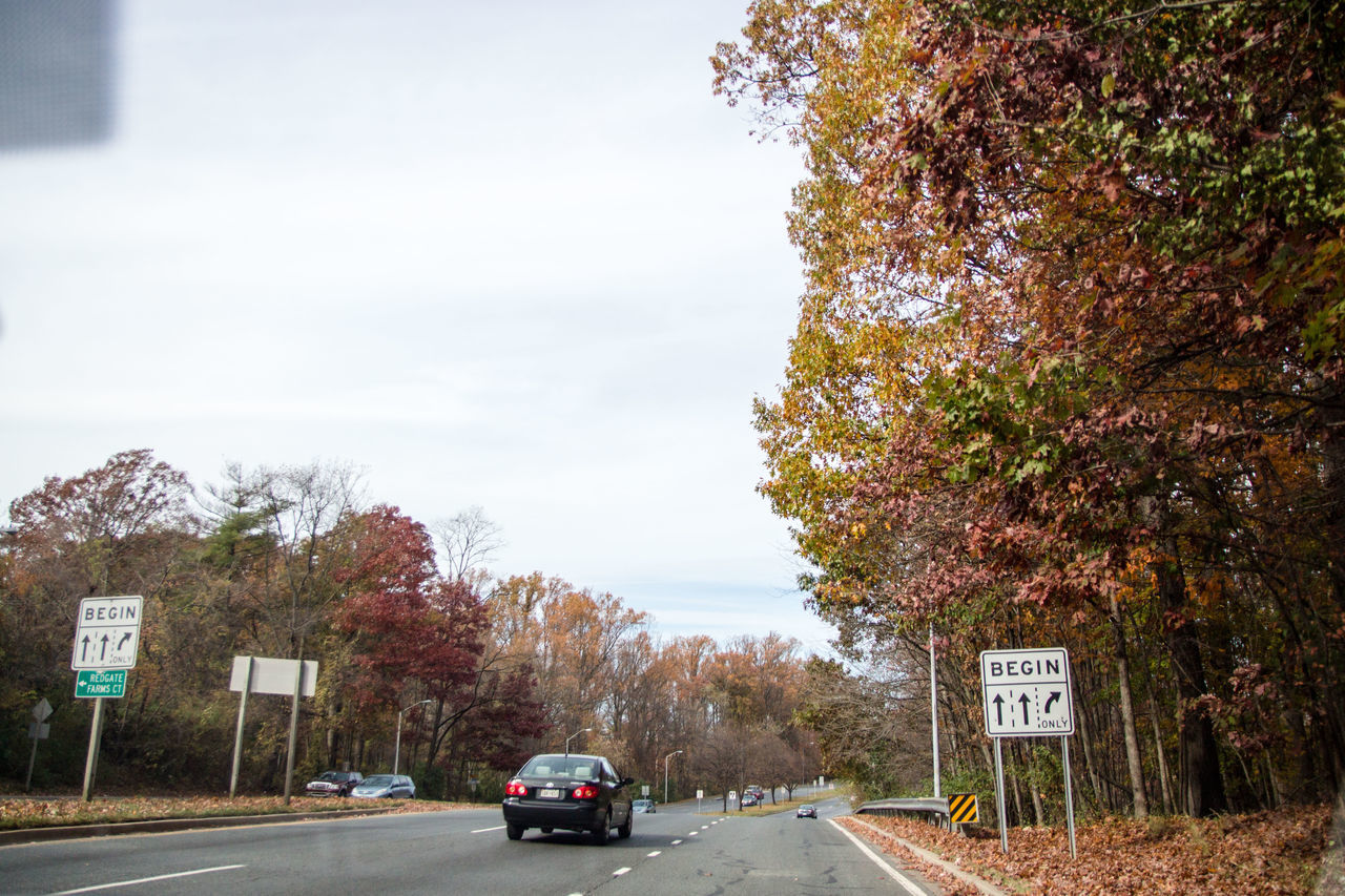 ROAD AMIDST TREES DURING AUTUMN