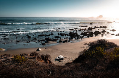 View of seagulls on beach