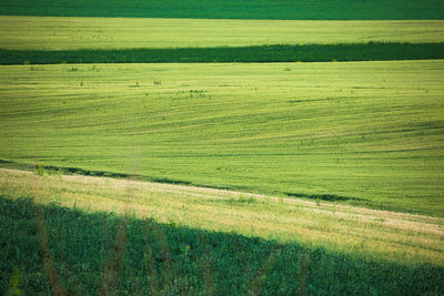 green