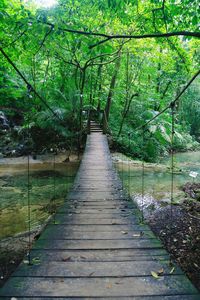 Footbridge amidst trees in forest