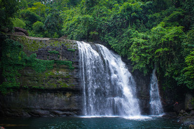 Scenic view of waterfall in forest
