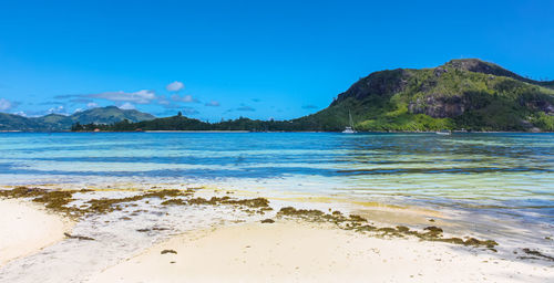Scenic view of sea against clear blue sky