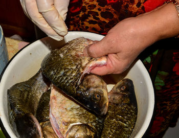 Close-up of hand holding fish