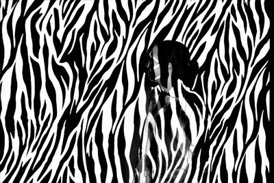 Shadow of woman on zebra