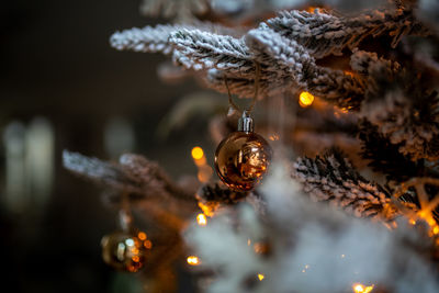 Close-up of christmas decoration