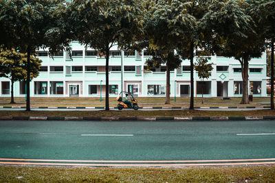 Man sitting on road by trees in city