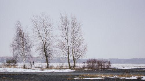 Bare trees on snow covered field