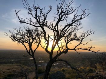 Silhouette bare tree against sky during sunset