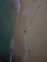 High angle view of people on beach